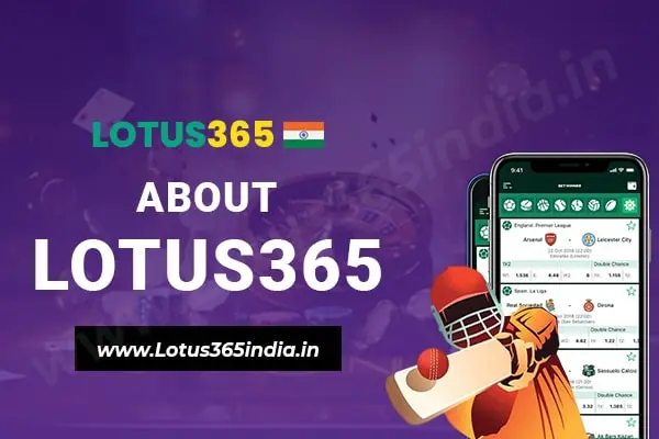 about lotus365